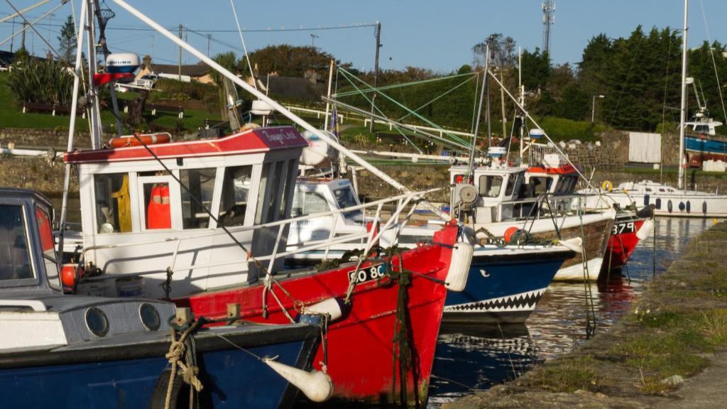 Harbour House B&B Courtown Exterior photo