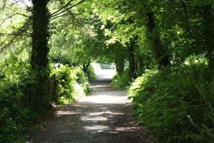 Harbour House B&B Courtown Exterior photo